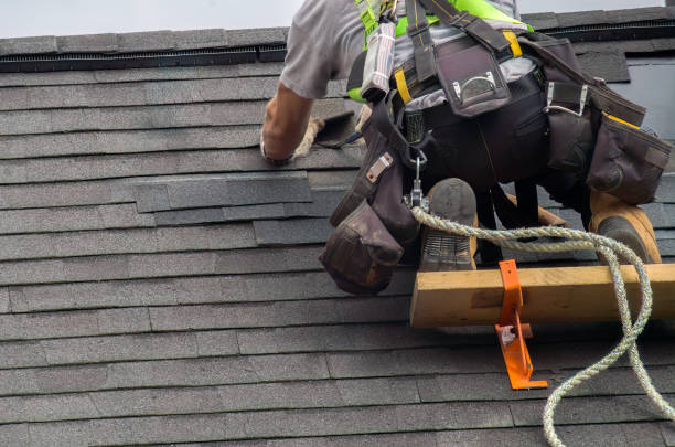 Roof Gutter Cleaning in Houston, PA